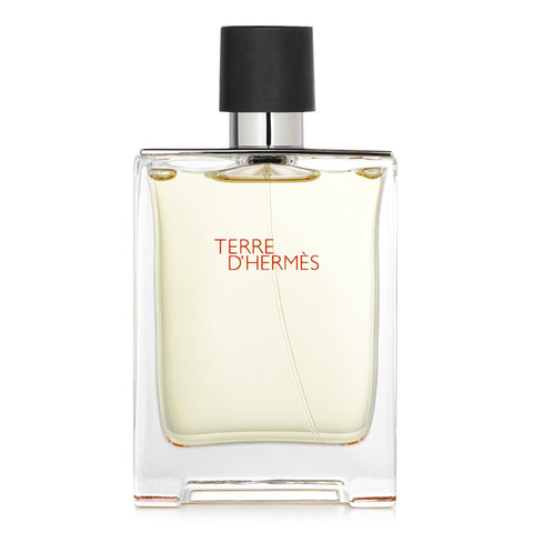 Hermès Terre d'Hermès Eau de Toilette Spray 3.4 Oz/ 100 ml