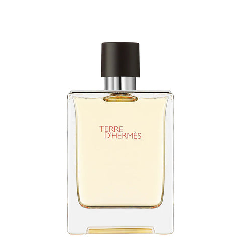 Tester Terre d'Hermes Eau De Toilette Spray 100 ml
