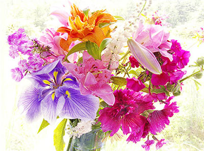 Chypre fragrance family