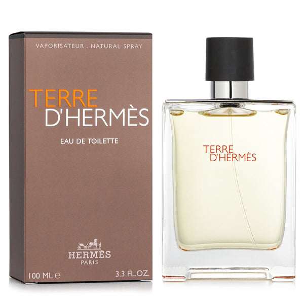 Hermes Terre D'Hermes Eau De Toilette Spray 100 ml
