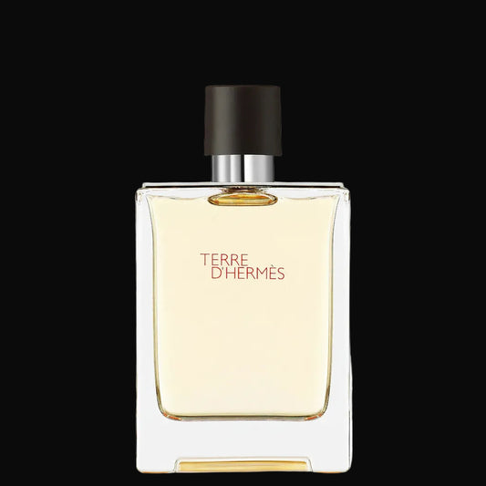  Tester Terre d'Hermes Eau De Toilette Spray 100 ml 